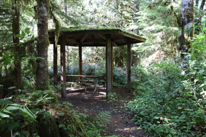 Single picnic table under small covered shelter – natural surface – no table extension for wheelchair users